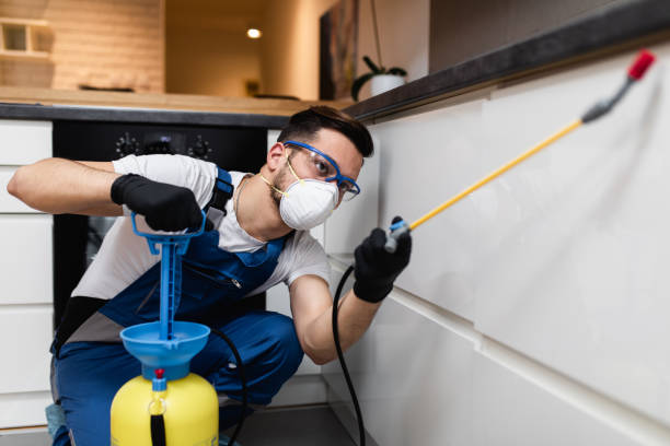 Best Mosquito Control Services  in Elgin, IL