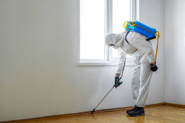 Best Insect Control  in Elgin, IL