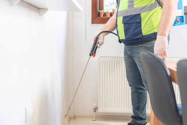 Best Termite Control Services  in Elgin, IL