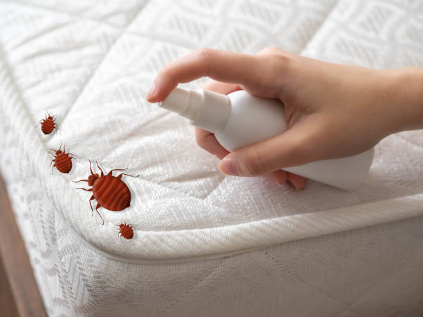 Best Pest Inspection Near Me  in Elgin, IL