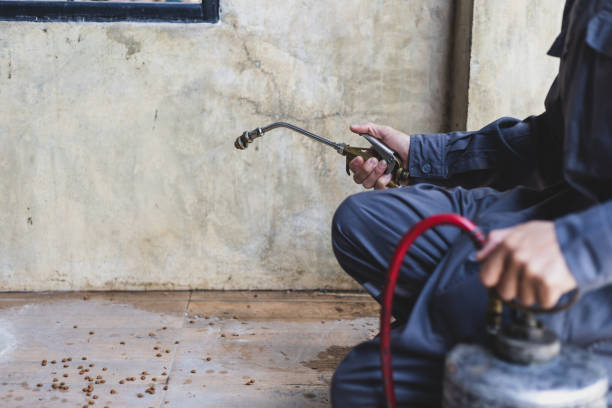 Best Exterminator Services  in Elgin, IL